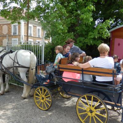 Promenade en Calèche